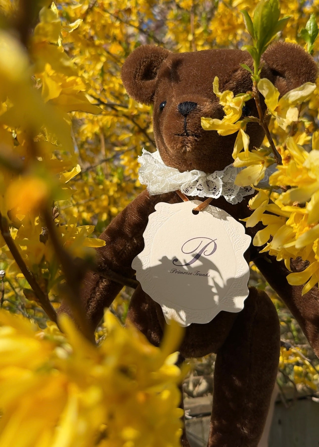 Primrose Trunks Primula the mohair jointed teddy bear