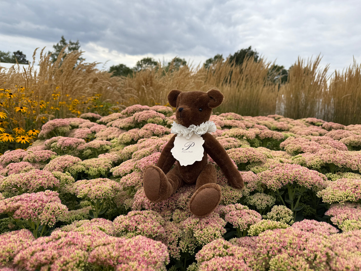 The Trio Set - Brunswick Trunk, Primula Bear & Mocha Blanket