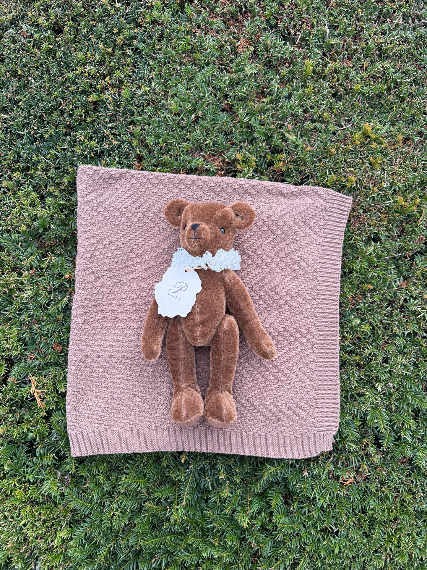 The Trio Set - Brunswick Trunk, Primula Bear & Mocha Blanket